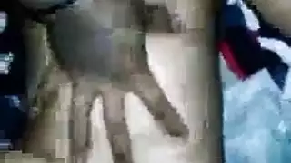 العاهرة الوقحة تأخذ إصبعاً في مؤخرتها
