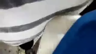 كلاب يلتصق بنسا