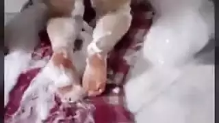 ديوث مراته تتناك امامه عربي حقيقي