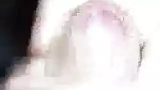 عيال مثليون ممتلئون في تبادل مني ساخن
