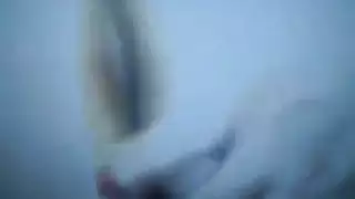 جماع الصدى