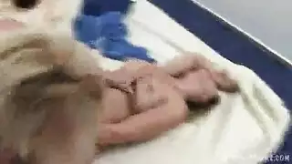 حفلة لحس ثلاثي