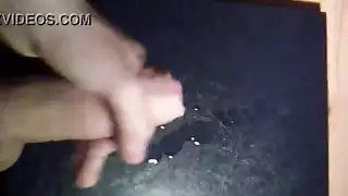 شراط الطير