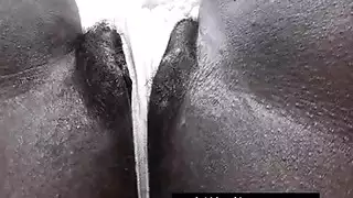 الأقواس الناضجة البريطاني وسادة