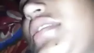 ملكة الهرة الكبيرة شريط