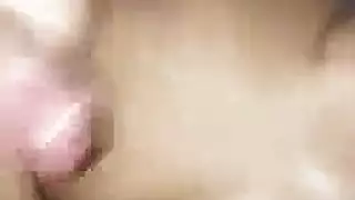 صفي طلوني