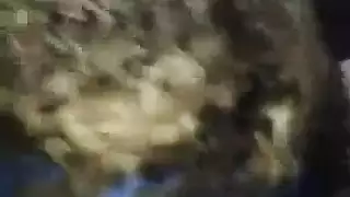فيلم عربي مصري نيك في عيد ميلاد قديم