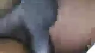 متجرد الهرة الطبيعية بوت أسود