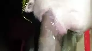 معصوب العينين جبهة تحرير مورو الإسلامية مع شعر كس ، أنطونيا الأسود قدم تيتجوب إلى عشيقها ، قبل أن يمارس الجنس معها جيدة