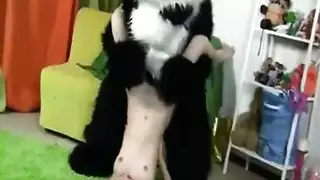 سكس حيوان بيت بنت