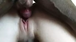 تحميل اقتصاد أجمل نيك