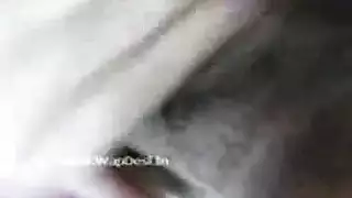 هطعربي