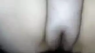 الدكتورالفلاحه