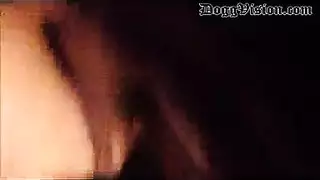 سكس صيني في الأتوبيس