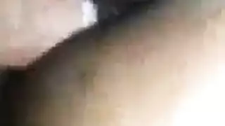 مستشفى القصر العيني بتتناك على تريل