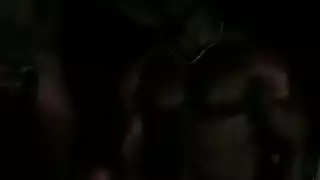 مفلس الأسود يا صاح القيام الحمار شجرة القطن