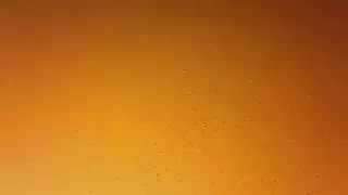 صديقة الأبنوس رشيقة مارس الجنس من الخلف أثناء وجودها على كاميرا ويب