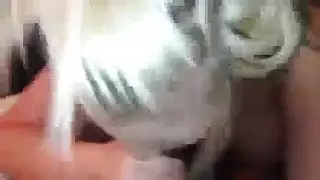 الشقراوات مذهلة الحصول على عارية والمرح مع ألعابهم