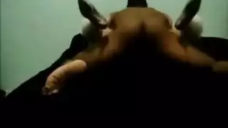 صورسكس القرد ينيك الطيز