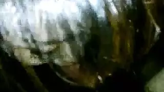 كسعجميات