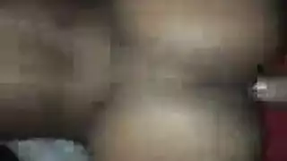 النحيف كوغار كوغار شقي جدا مع ابنها