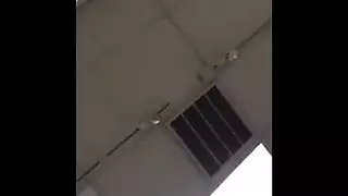 الكلبة شقراء لها مقابلة عمل لطيفة، لأنها تعرف كيفية التعامل مع الناس.